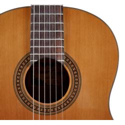 Salvador Cortez CC-10-SN gitara klasyczna